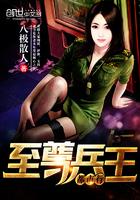 至尊兵王8难完整版