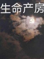 生命AI