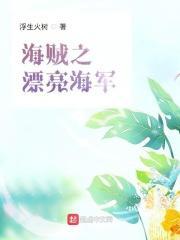 海贼之帅