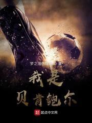 我是贝肯鲍尔的重生之路