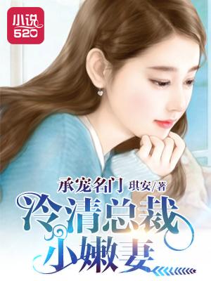 冷清总裁的暖妻