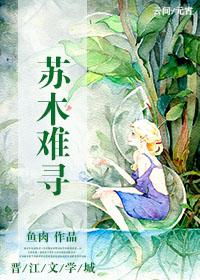 作者苏木