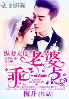 老婆乖还有一半在外面呢