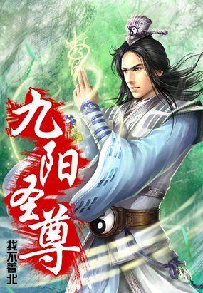 九阳剑圣如何