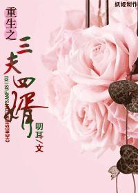 三夫四婿什么意思