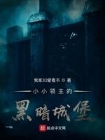 小小领主黑暗城堡+笔趣阁最新章节