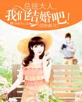总统大人借个婚免费阅读