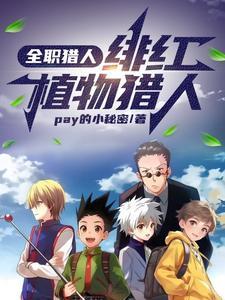 全职猎人同人红全文免费阅读