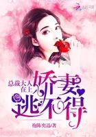 总裁大人宠上天免费阅读全文