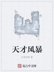 天才风暴起点