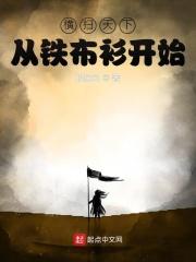 纵横天下从铁布衫开始再入江湖