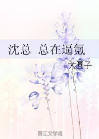 沈总总在氪txt