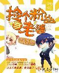 捡了一把粉丝完整版