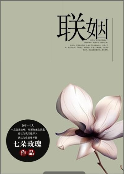 联姻夫夫有只助攻崽百度