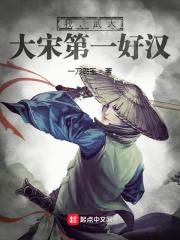 大宋第一武夫