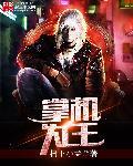 掌机王ns3 pdf