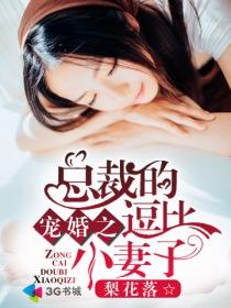 宠妻的总裁