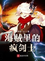 海贼王 风