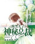 腹黑儿子追捕偷孕妈咪