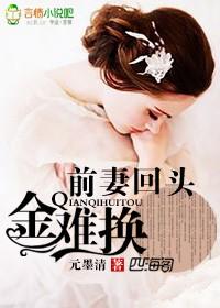 前妻回头金难换txt