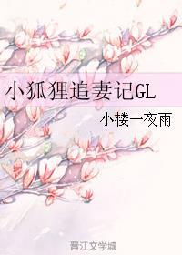 小狐狸追剧app官网入口安卓