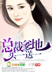 总裁爹地买一送一夕梦笔趣阁