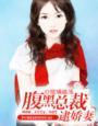 腹黑总裁捕逃妻