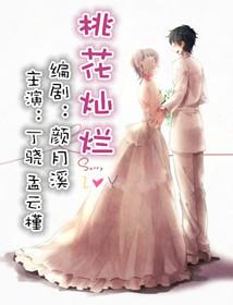 桃花灿烂全部演员表