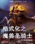 魔兽圣骑士技能大全