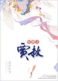 红楼之贾赦夫妻