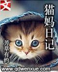 猫猫日记大结局