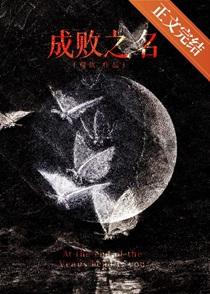 成败之处