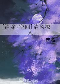 清穿空间清风撩人全文免费阅读