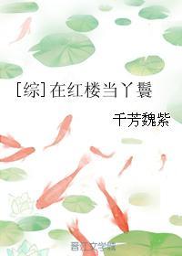 综在红楼当丫鬟2k