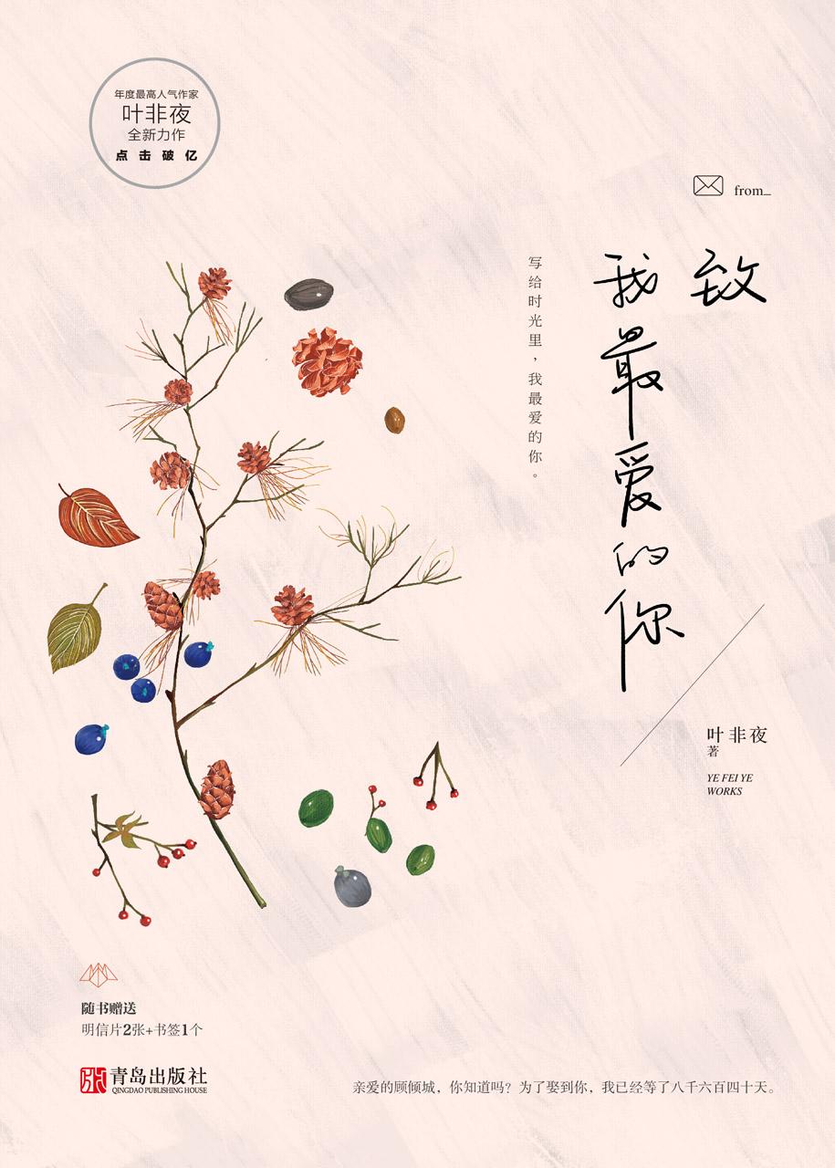 致我最爱的你原著