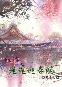 红楼之迎春王妃