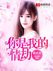 你是我的情劫全集