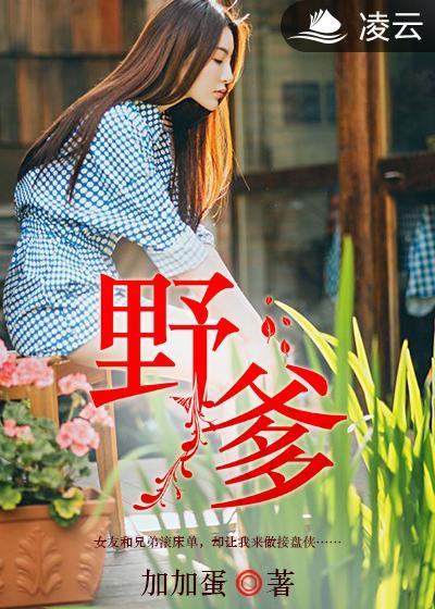 野爹手机是什么手机