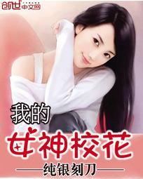 我的女神校花苏瑾汐免费阅读