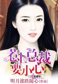 惹上总裁boss2