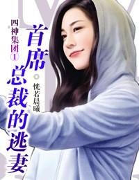 四神集团1首席总裁的逃妻未删减版全文siluke