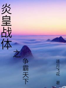 炎皇公司