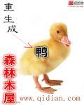 宝可梦z头目盔甲鸟