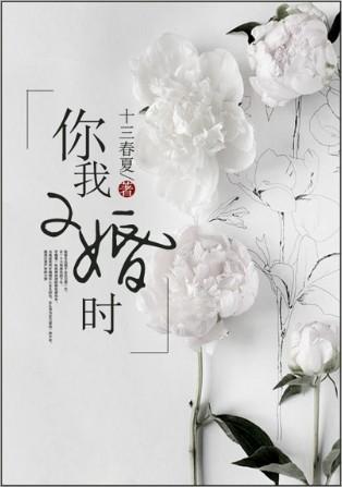二婚进行时在线阅读