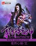 掌御乾坤1台球杆怎么样
