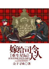 星际之嫁给司令大人完结了吗