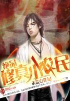 超品修仙小农民txt
