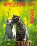 重生之再来一次双重生