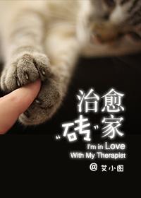 治愈砖家 简介