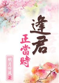 逄君正当时电视剧